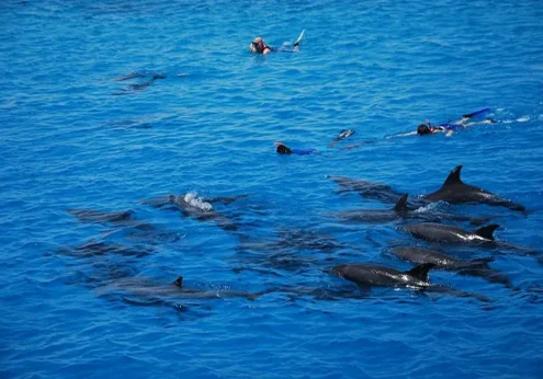 Dolphin House Makadi Bay (2)