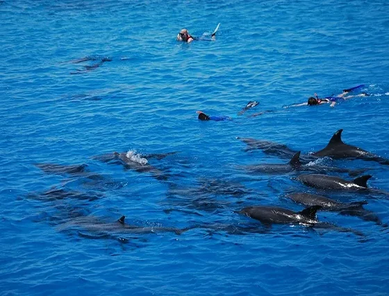 Dolphin House Makadi Bay (2)
