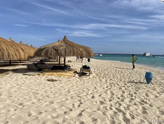 Dream Island (1)