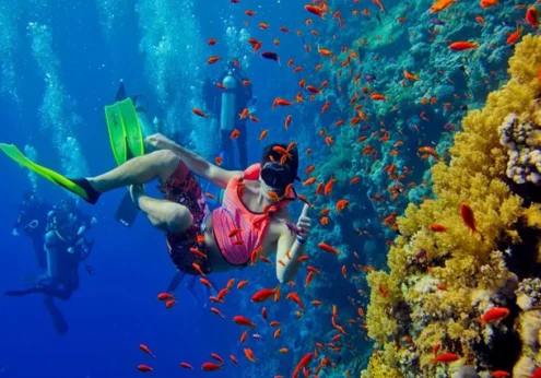 Giftun Insel Schnorcheln, Giftun Insel Ausflug, Giftun Ägypten, Giftun Insel, Giftun Insel Ab Safaga (3)