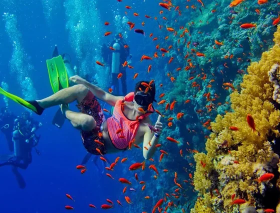 Giftun Insel Schnorcheln, Giftun Insel Ausflug, Giftun Ägypten, Giftun Insel, Giftun Insel Ab Safaga (3)