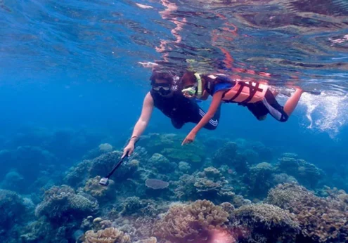 Giftun Insel Schnorcheln, Giftun Insel Ausflug, Giftun Ägypten, Giftun Insel, Giftun Insel Ab Sahl Hasheesh (2)