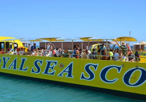 Glasbodenboot Hurghada ab Sahl Hasheesh (4)