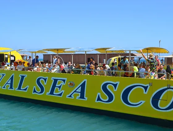 Glasbodenboot Hurghada ab Sahl Hasheesh (4)