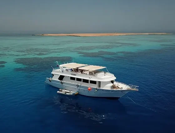 Hausriff Makadi Bay Schnorcheln, Makadi Bay Schnorcheln Hausriff, Schnorchelausflug Makadi Bay, Schnorcheln in Makadi Bay (3)