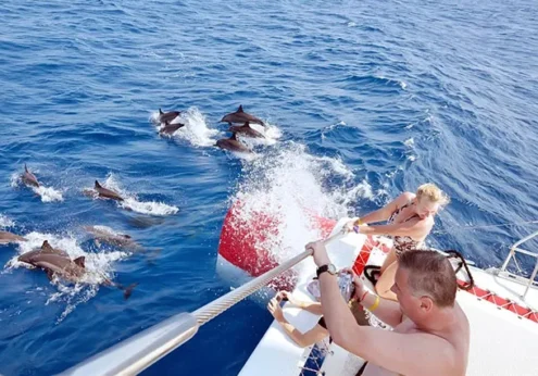 Hurghada Schnorcheln MIT Delfinen (2)