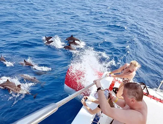 Hurghada Schnorcheln MIT Delfinen (2)