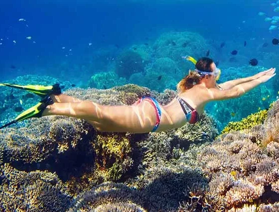 Schnorcheln El Gouna (2)
