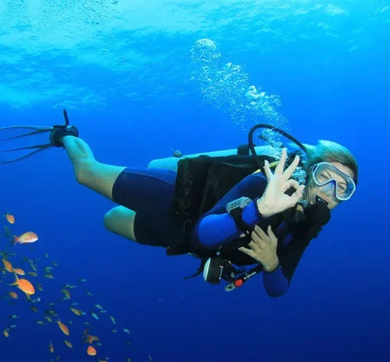 Tauchen in Hurghada (6)