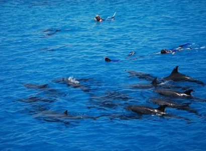 Dolphin House Makadi Bay (2)