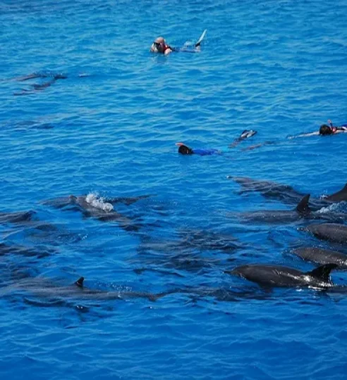Dolphin House Makadi Bay (2)