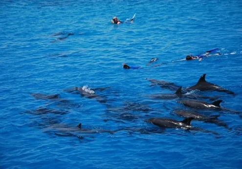 Dolphin House Makadi Bay (2)