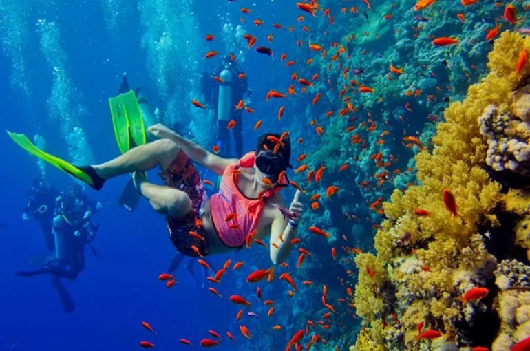 Giftun Insel Schnorcheln, Giftun Insel Ausflug, Giftun Ägypten, Giftun Insel, Giftun Insel Ab Makadi Bay (3)