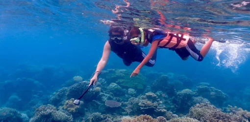 Giftun Insel Schnorcheln, Giftun Insel Ausflug, Giftun Ägypten, Giftun Insel, Giftun Insel Ab Sahl Hasheesh (2)