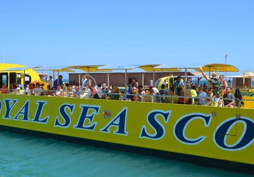 Glasbodenboot Hurghada ab Sahl Hasheesh (4)