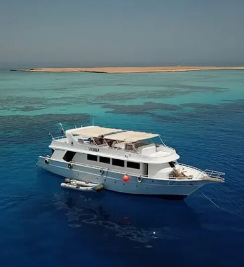 Hausriff Makadi Bay Schnorcheln, Makadi Bay Schnorcheln Hausriff, Schnorchelausflug Makadi Bay, Schnorcheln in Makadi Bay (3)