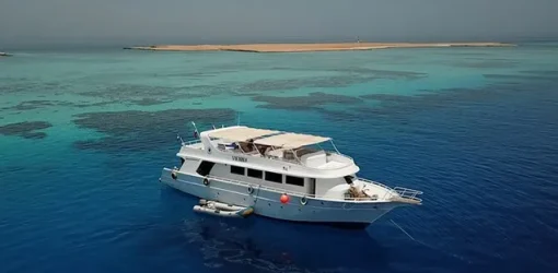 Hausriff Makadi Bay Schnorcheln, Makadi Bay Schnorcheln Hausriff, Schnorchelausflug Makadi Bay, Schnorcheln in Makadi Bay (3)