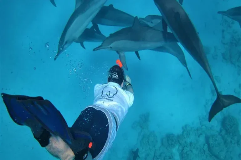 Hurghada Schnorcheln MIT Delfinen (1)