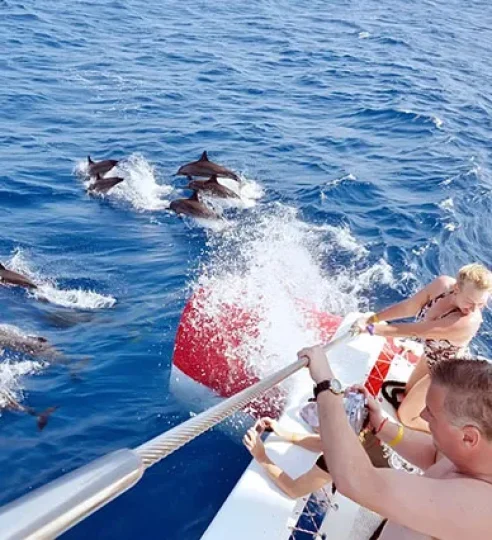 Hurghada Schnorcheln MIT Delfinen (2)