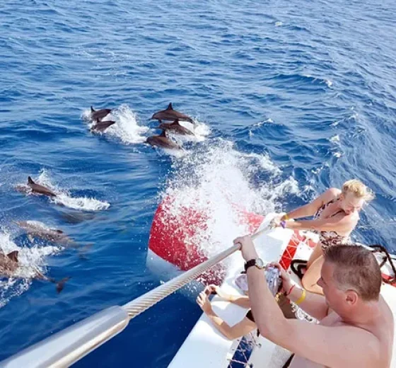 Hurghada Schnorcheln MIT Delfinen (2)