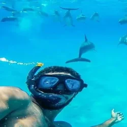 Hurghada Schnorcheln MIT Delfinen (4)