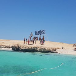Paradise insel (3)
