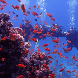 Sharm El Naga Safaga, Sharm El Naga Snorkelen, Sharm El Naga Schnorcheln, Sharm El Naga Ägypten , Sharm El Naga Ausflug, Sharm El Naga Tauchen (3)