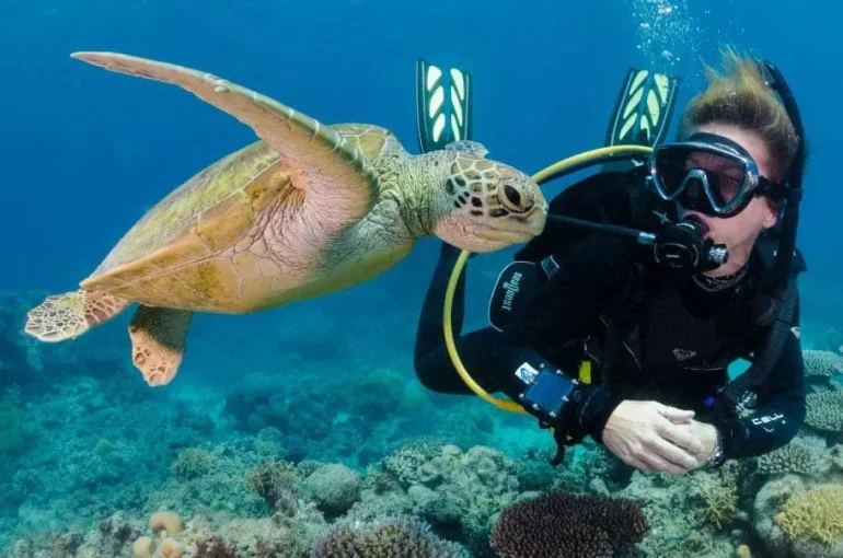 Tauchen in Hurghada (1)