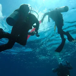 Tauchen in Hurghada (4)