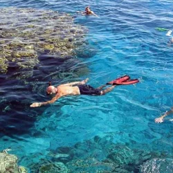 Tobia Island (3)